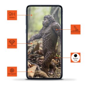 2x Screen Genie CF-PRO Tempered Glass Screen Protector for Samsung Galaxy A23 & 5G