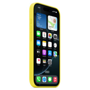 Official Apple Silicone Magsafe Rear Case Cover for iPhone 16 Pro - Star Fruit