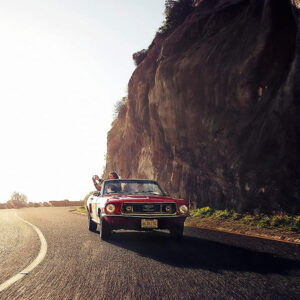 Gear4 Bayswater D3O Shockproof Tough Case for Apple iPhone 6, 7, 8, SE 2020 & SE 2022 - Clear